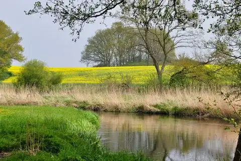 Erotik Mecklenburg